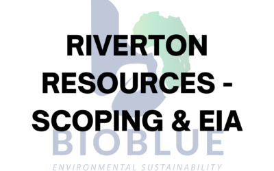 Riverton Resources – Scoping & EIA