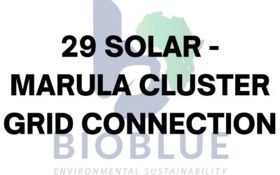 29 Solar – Marula Cluster Grid Connection