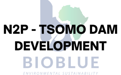 N2P – Tsomo Dam Development